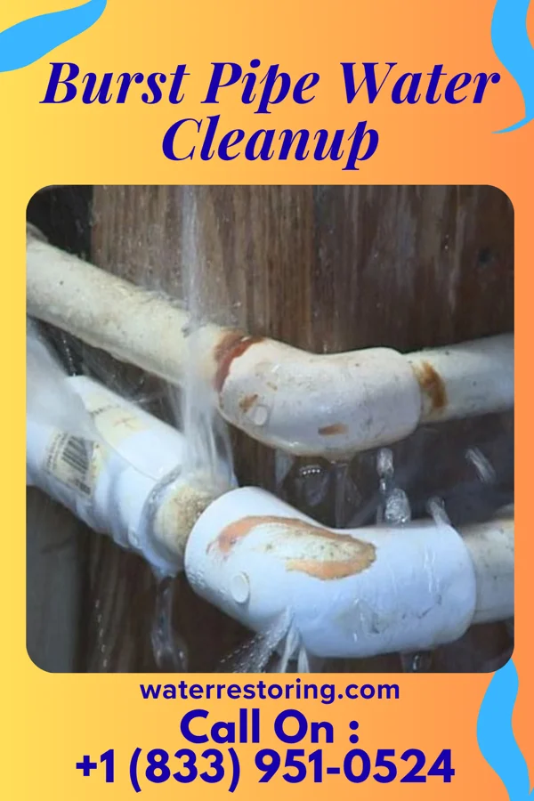Burst Pipe Water Cleanup in Homewood, IL