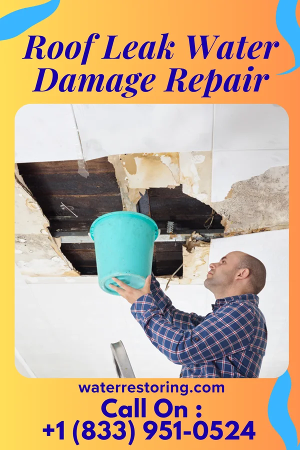 Roof Leak Water Damage Repair in Homewood, IL
