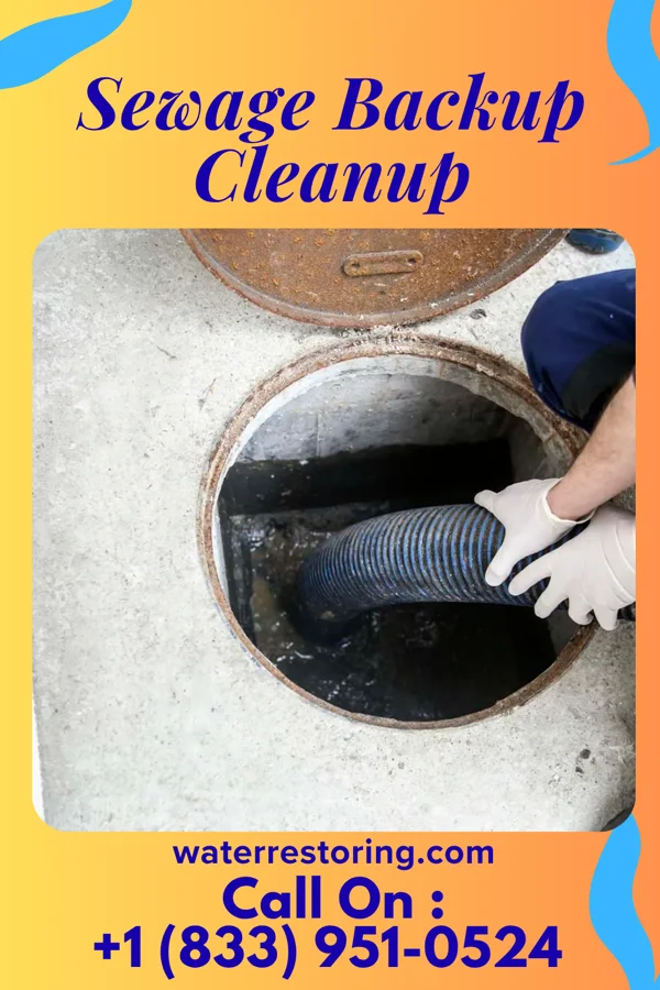 Sewage Backup Cleanup in Homewood, IL